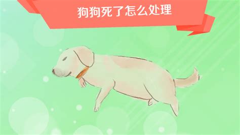 小狗死掉怎麼處理